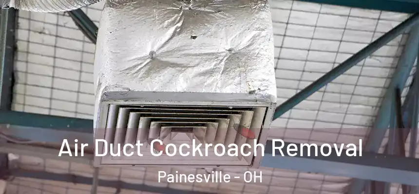 Air Duct Cockroach Removal Painesville - OH