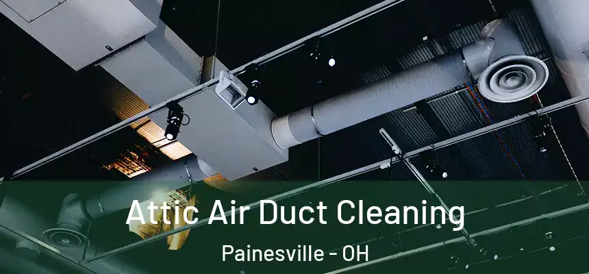 Attic Air Duct Cleaning Painesville - OH