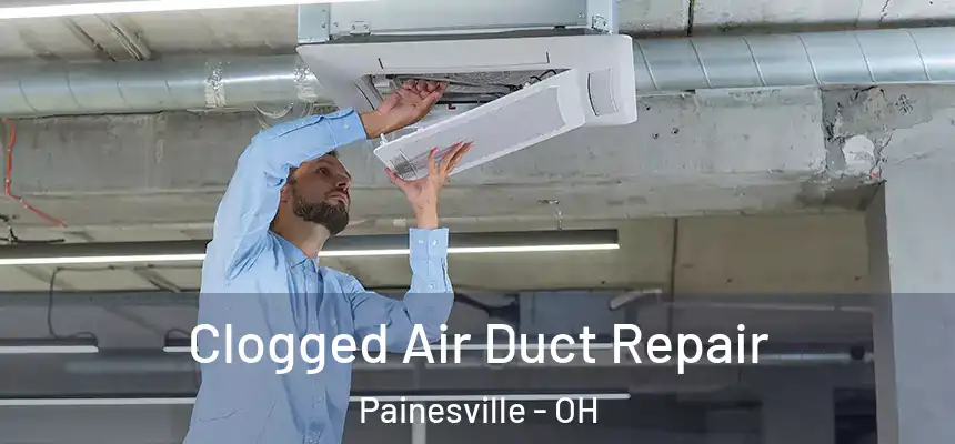  Clogged Air Duct Repair Painesville - OH