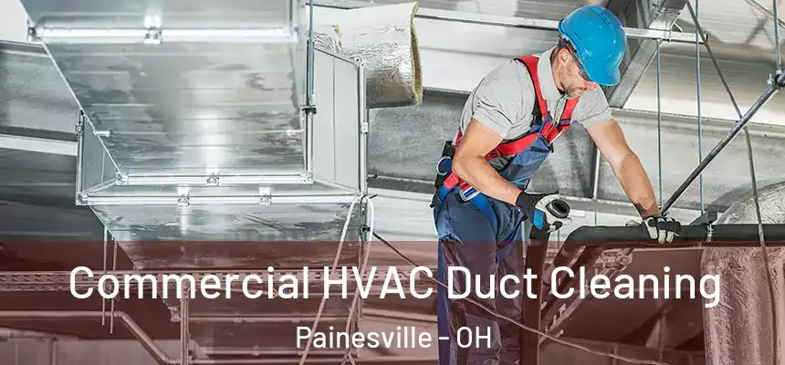 Commercial HVAC Duct Cleaning Painesville - OH