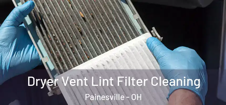 Dryer Vent Lint Filter Cleaning Painesville - OH
