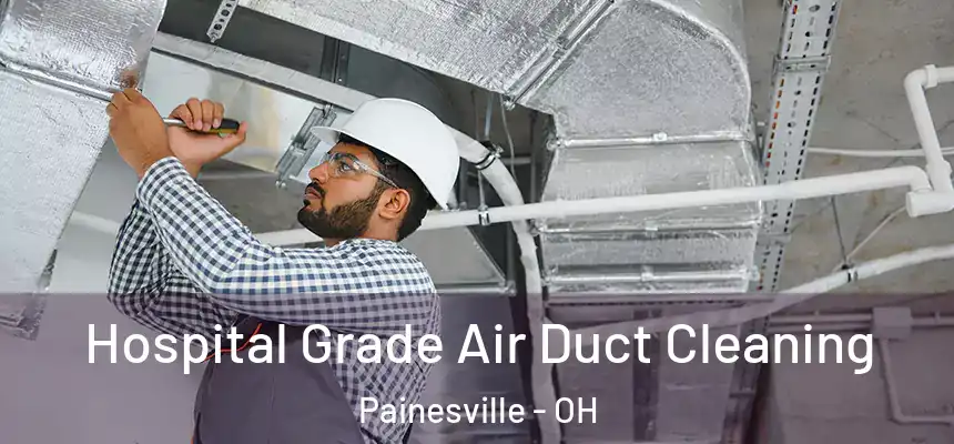 Hospital Grade Air Duct Cleaning Painesville - OH