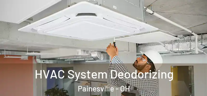  HVAC System Deodorizing Painesville - OH