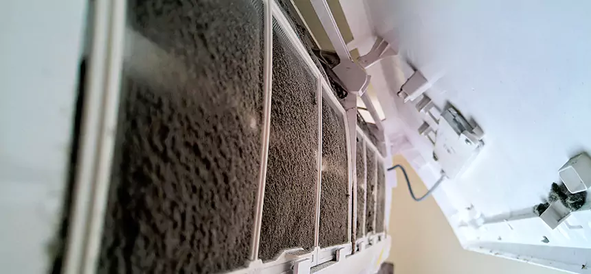 Preventive Air Duct Bacteria Removal in Painesville