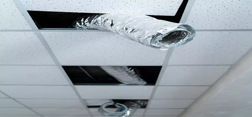 Our Air Duct Pet Hair Removal Services in Painesville, OH