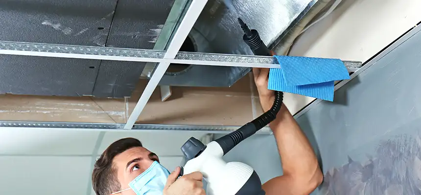 Our Air Duct Rodent Removal Services in Painesville, OH