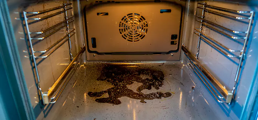 Our Dryer Vent Mold Cleaning Services in Painesville, OH