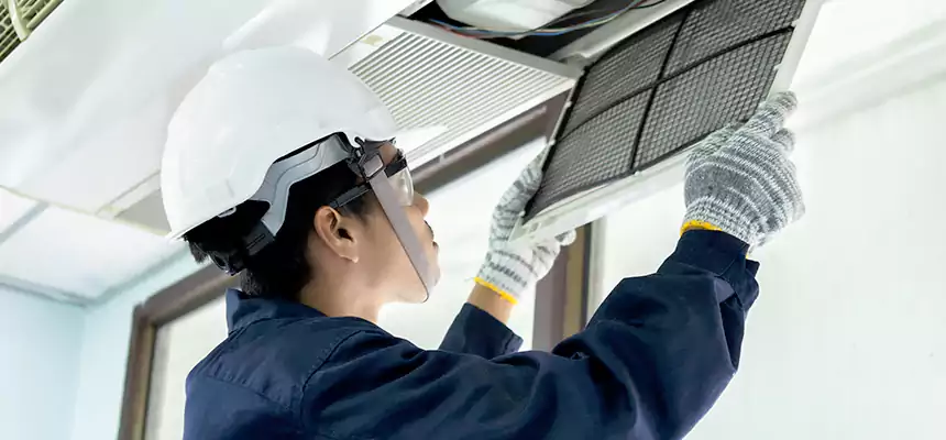 Our Mold & Mildew Removal from Air Ducts Services in Painesville, OH