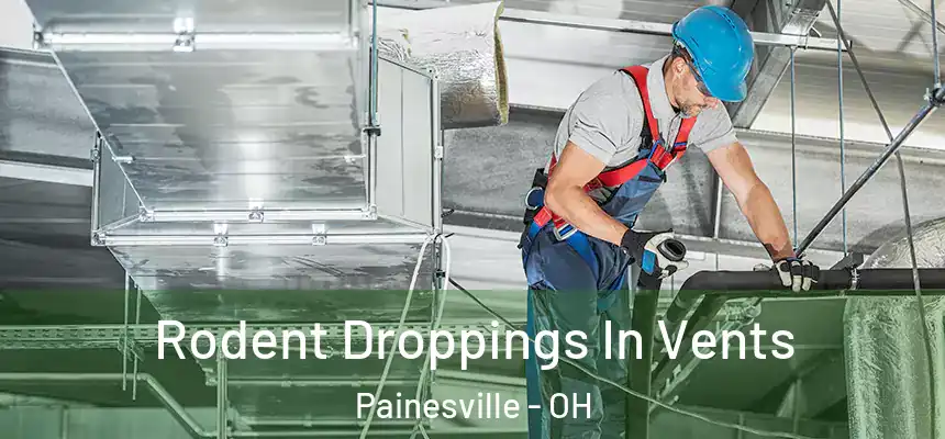  Rodent Droppings In Vents Painesville - OH