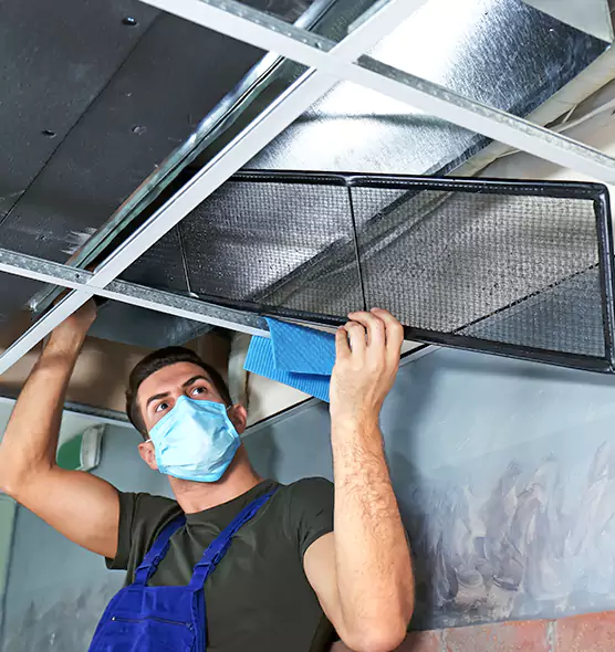 Professional Home Ventilation Cleaning in Painesville, OH