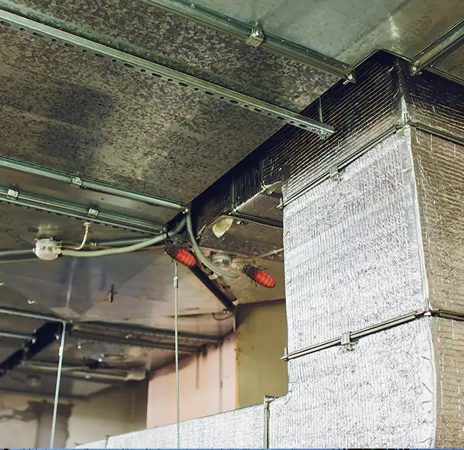 Why Homeowners & Businesses Trust Us in Painesville, OH?