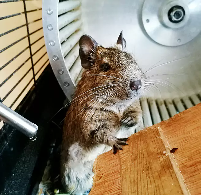 Why Homeowners & Businesses Trust Us Painesville, OH